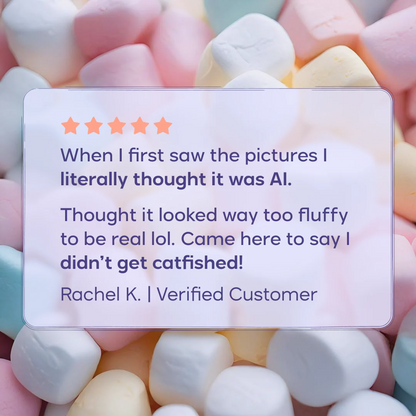 MarshMellow Comforter VIP